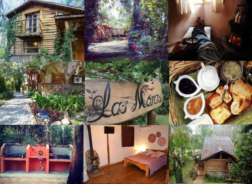 Bed & Breakfast Caba�as Las Moras