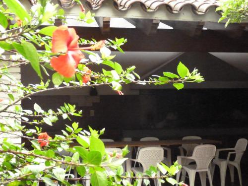 Hostel De Los Artistas