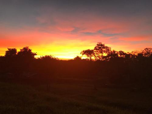 Lodge Caba�as Katy-arte