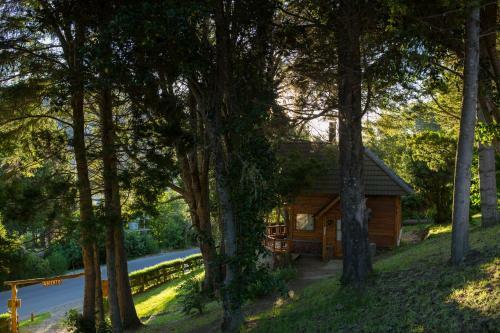 Lodge Cocos Cura Caba�as
