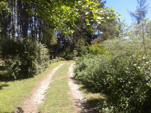 Lodge Montebello Caba�as