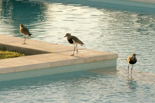 Hotel Ruca Haian Caba�as Y Spa