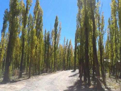 Bosque De Sol