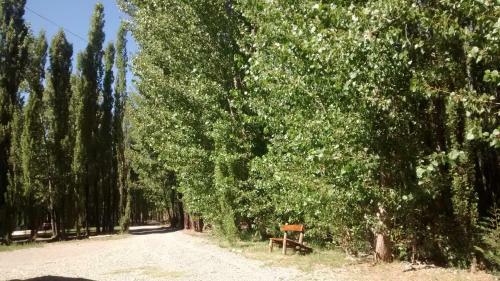 Bosque De Sol
