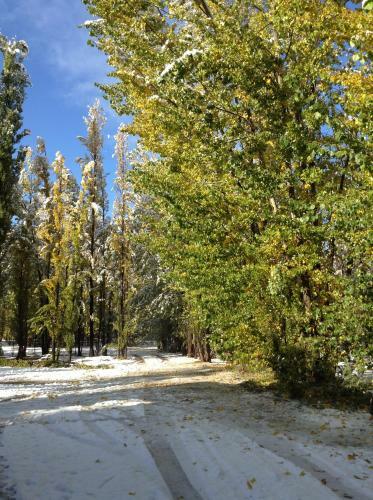 Bosque De Sol