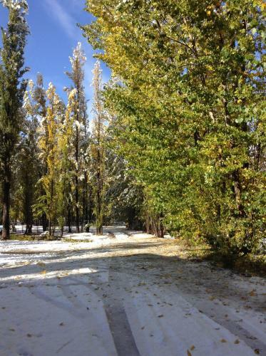 Bosque De Sol