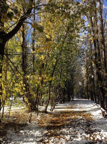Bosque De Sol