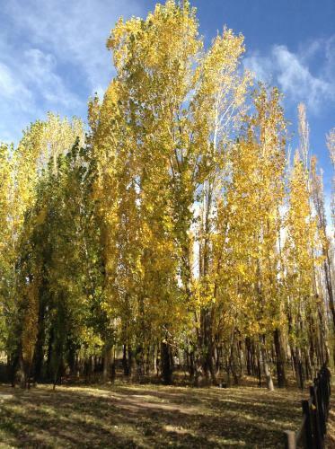 Bosque De Sol