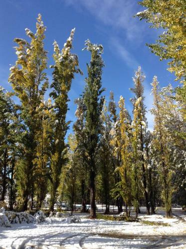 Bosque De Sol