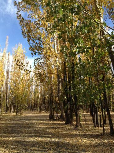 Bosque De Sol