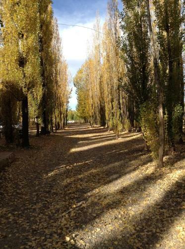 Bosque De Sol