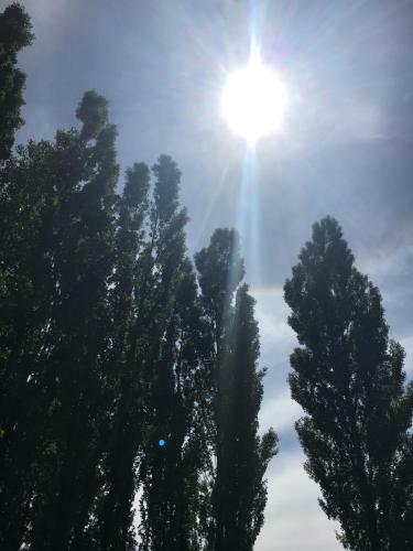 Bosque De Sol