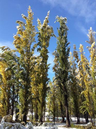 Bosque De Sol