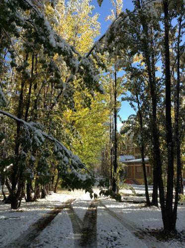 Bosque De Sol