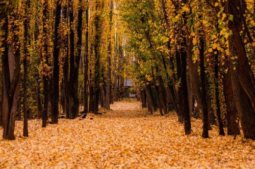 Bosque De Sol