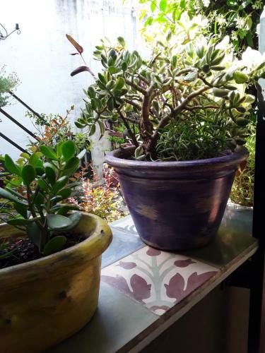 Apartamento Hostal Del Viajero