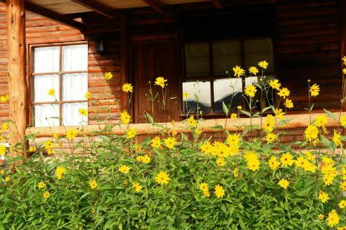Lodge Caba�as Del Faldeo Titos