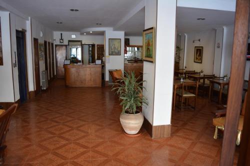 Gran Hotel Amelia