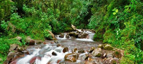 Lodge Caba�as San Lorenzo