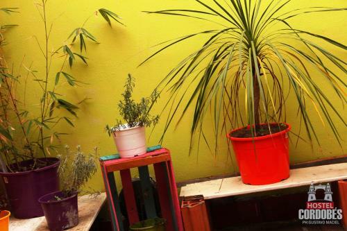 Hostel Cordob�s