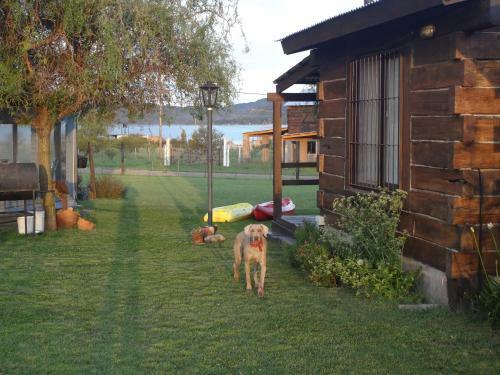 Lodge Caba�as La Oma