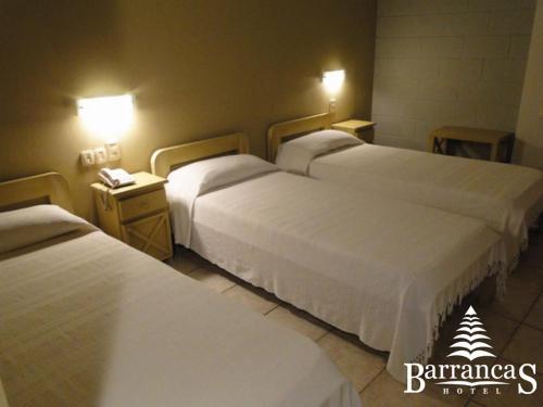 Hotel Barrancas San Pedro