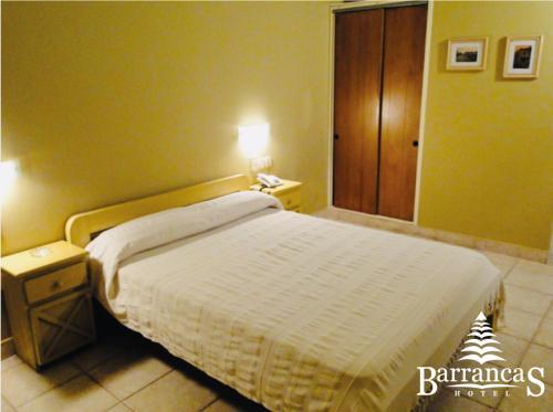 Hotel Barrancas San Pedro
