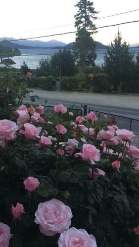 Hostal Bonita Lake House - Hostel & Bungalows