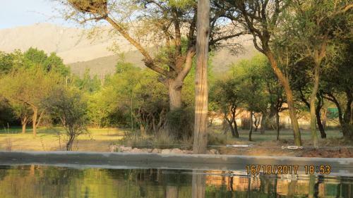 Lodge Caba�as Entre Verde