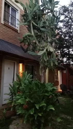 Apartamento Entre Rios