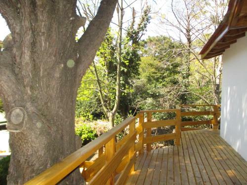 Lodge Caba�as Gonzalez