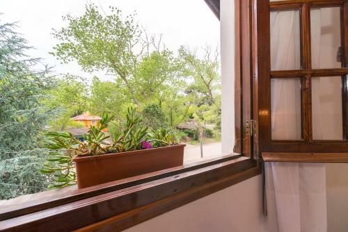 Lodge Caba�as Gonzalez