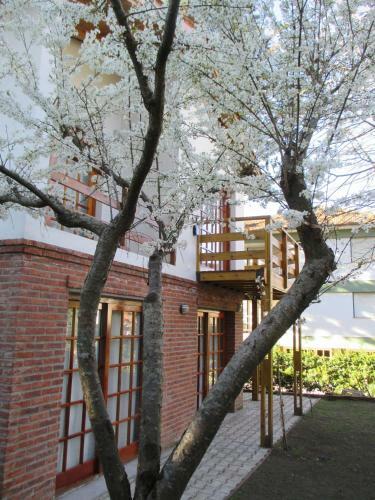 Lodge Caba�as Gonzalez
