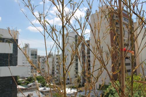 La Plata Apartments 1