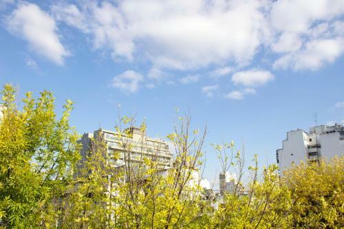 Apartamento Ph Chic En Palermo Soho