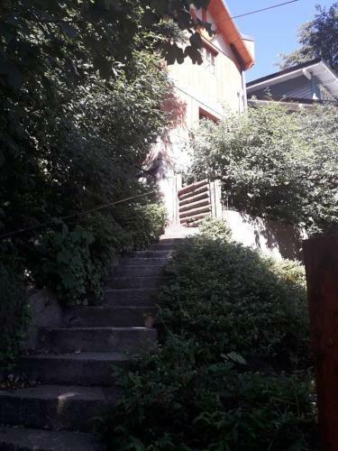 Lodge Caba�a Alquiler Turistico