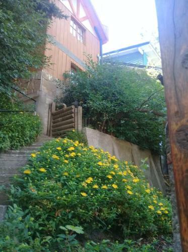 Lodge Caba�a Alquiler Turistico