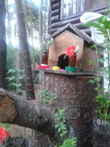 Lodge Caba�as De La Abuela
