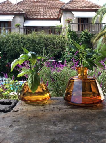 Bed & Breakfast Casona La Ruchi