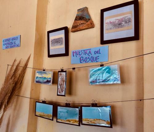 Alta Vista Hostel