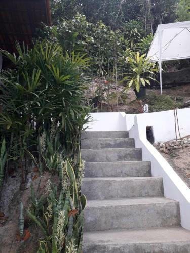 Casa Shuhari