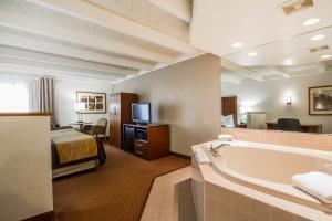 Hotel Comfort Inn & Suites Madison