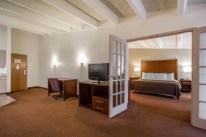Hotel Comfort Inn & Suites Madison