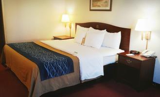 Hotel Comfort Inn