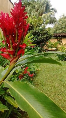 Bed & Breakfast Pousada Refugio Port Sahy