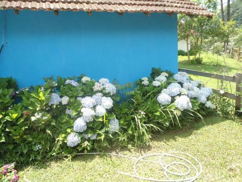 Hostal Pousada Casar�o