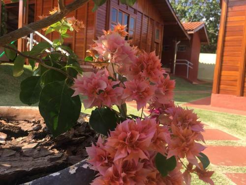 Hostal Pousada Shekinah