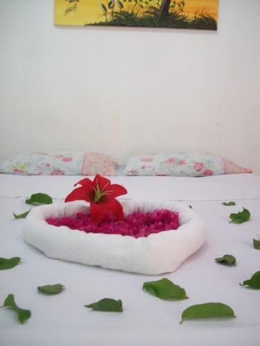 Hostal Pousada Costa Dos Corais