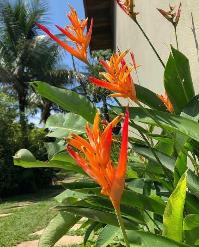 Hostal Chales Maresias