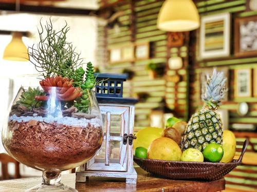 Hostal Villa Medina Jeri